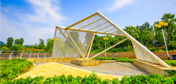 我的大學-大学志