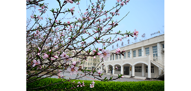天津财经大学珠江学院 - 最美大学