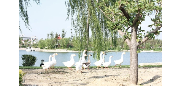 天津警察学院-我的大學，我的流金歲月