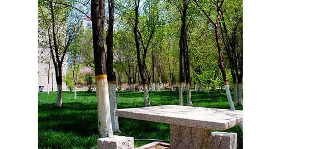 新疆农业大学科学技术学院 - 最美院校