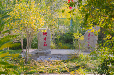 新疆天山职业技术大学