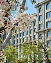 新疆天山职业技术大学