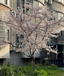 新疆天山职业技术大学