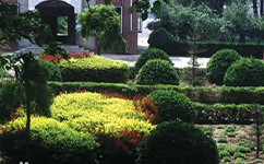 历史沿革（概）校史