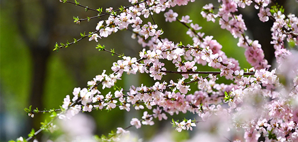 山西医药学院 - 最美大学