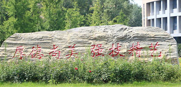 时光匆匆，岁月如歌！