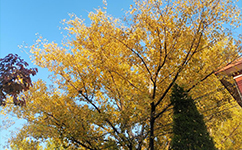 山西管理职业学院 - 我的大学