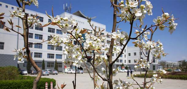 山西药科职业学院
 - 最美院校