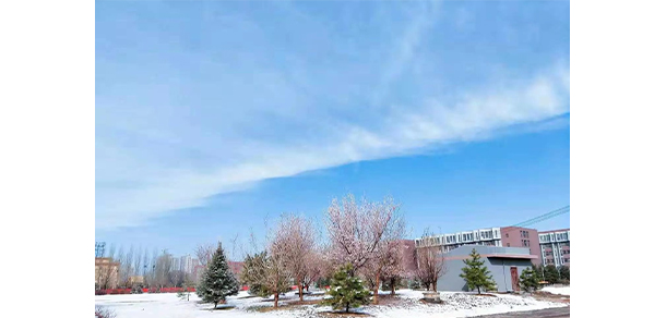内蒙古大学 - 最美大学