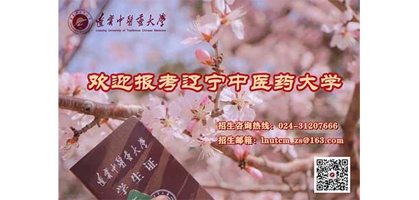 辽宁中医药大学 - 最美院校