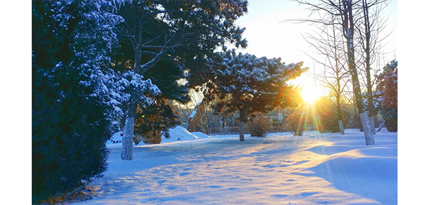 沈阳师范大学-我的大學，我的流金歲月
