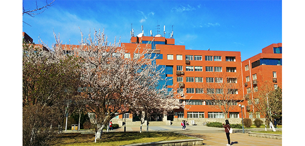 我的大學-大学志