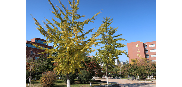 沈阳师范大学-我的大學，我的流金歲月
