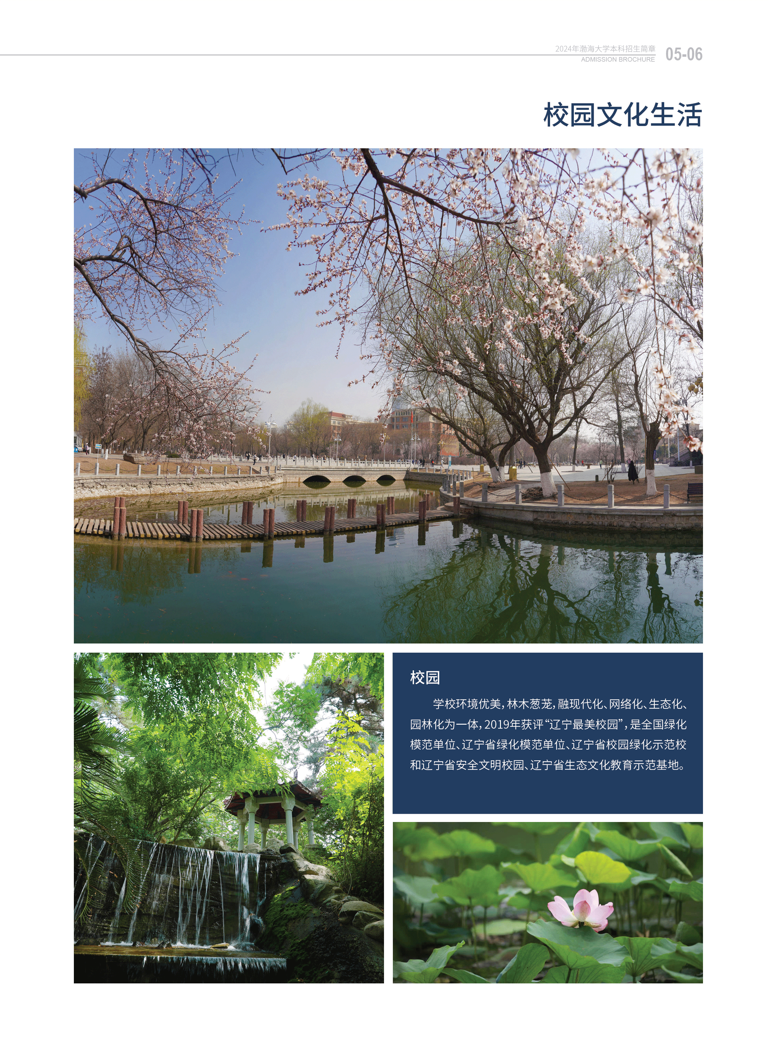 渤海大学－2024年招生简章