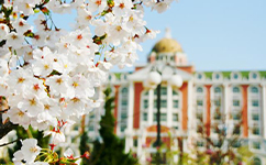 辽宁对外经贸学院 - 我的大学