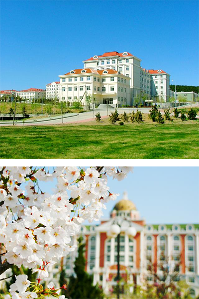 辽宁对外经贸学院