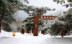 大连大学 - 我的大学