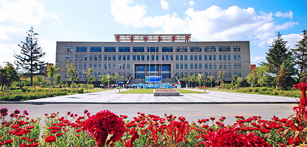 我的大學-大学志