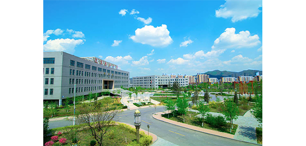 我的大學-大学志