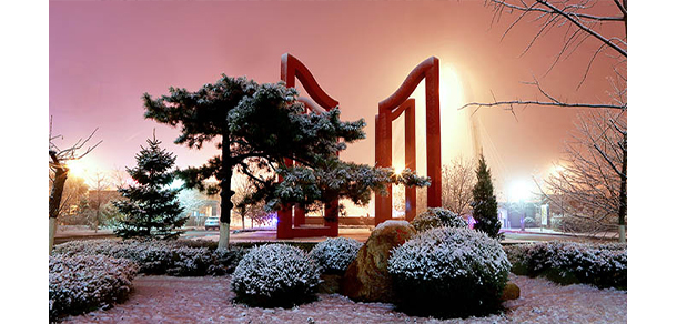 我的大學-大学志