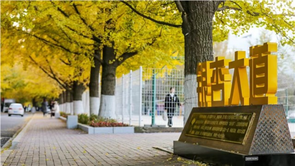 辽东学院2024年专升本招生简章