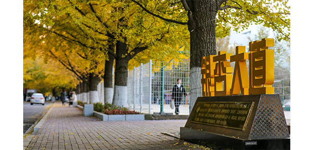 辽东学院 - 最美大学