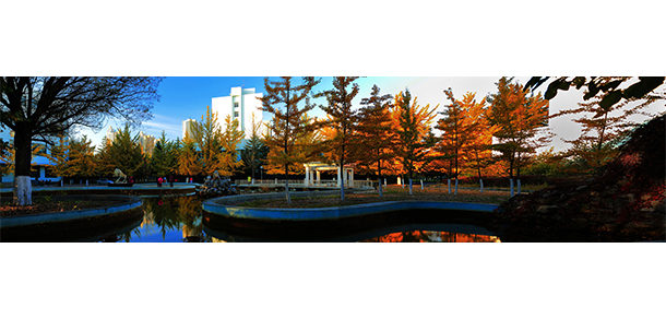 辽东学院 - 最美大学