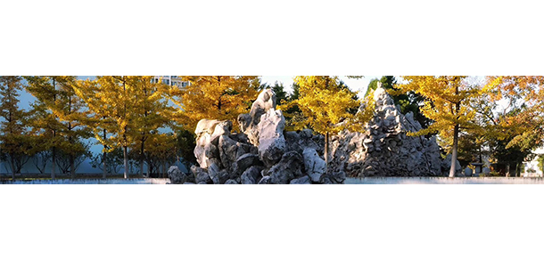 辽东学院 - 最美大学