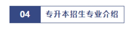 沈阳城市建设学院2024年专升本招生简章