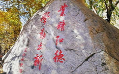 沈阳城市建设学院 - 我的大学