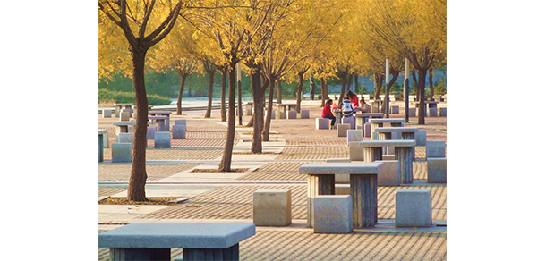 沈阳理工大学 - 最美大学