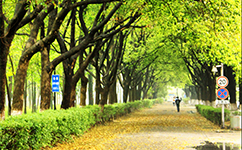 锦州医科大学医疗学院 - 我的大学