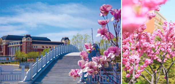 辽宁师范大学海华学院 - 最美大学