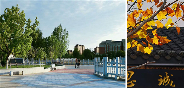 辽宁师范大学海华学院 - 最美大学