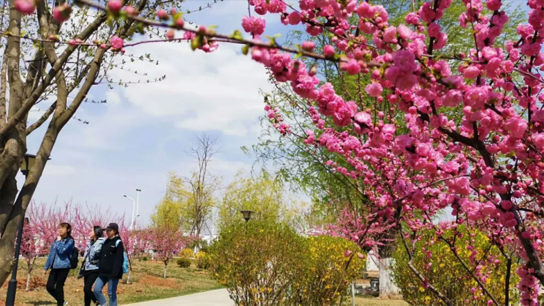 辽宁师范大学海华学院－2021年招生章程