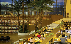 沈阳城市学院 - 我的大学