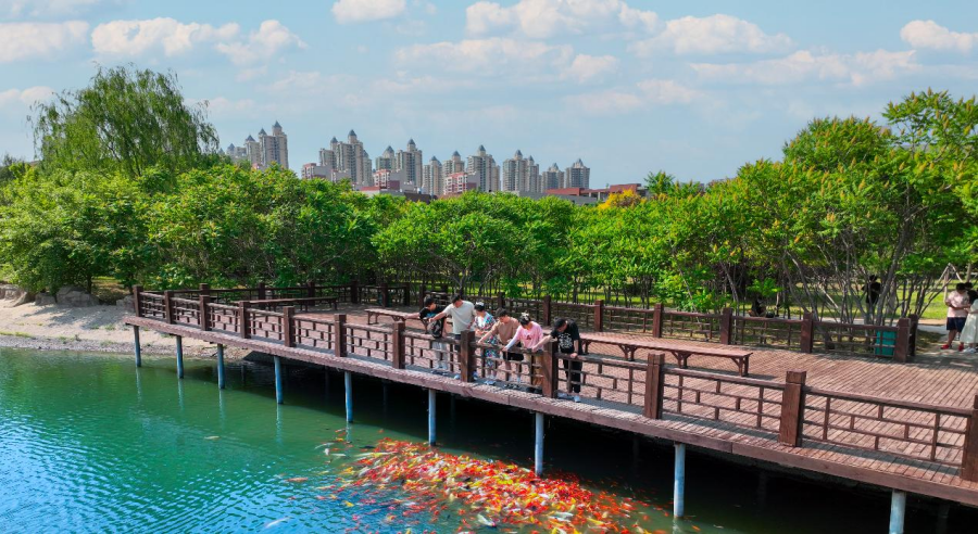 沈阳科技学院2025年