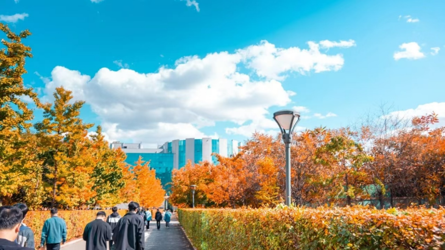 沈阳科技学院2025年