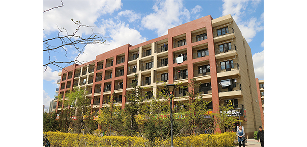 我的大學-大学志