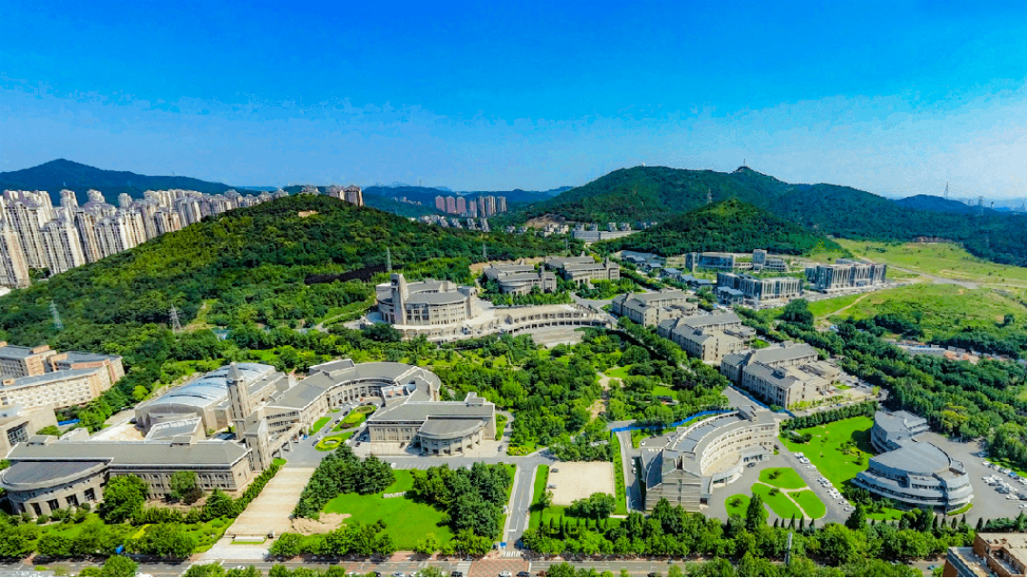 大连东软信息学院2025年分省分专业招生计划