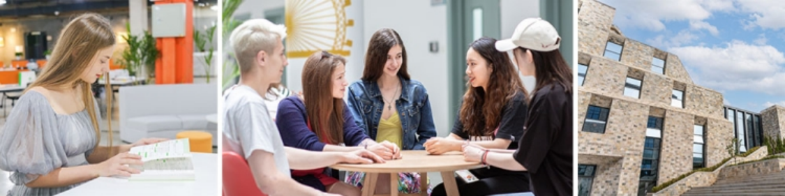 国际教育学院网站