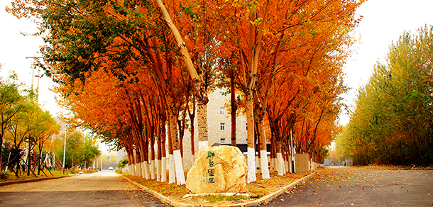辽宁传媒学院 - 最美大学