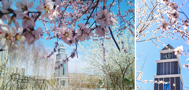 辽宁传媒学院 - 最美大学