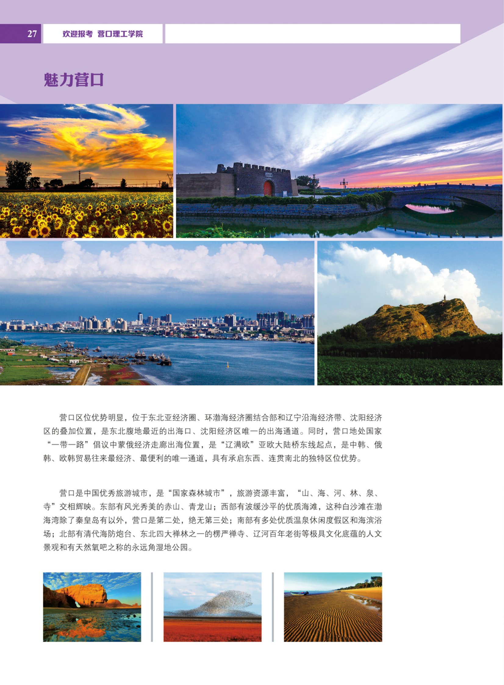 营口理工学院2024年招生简章