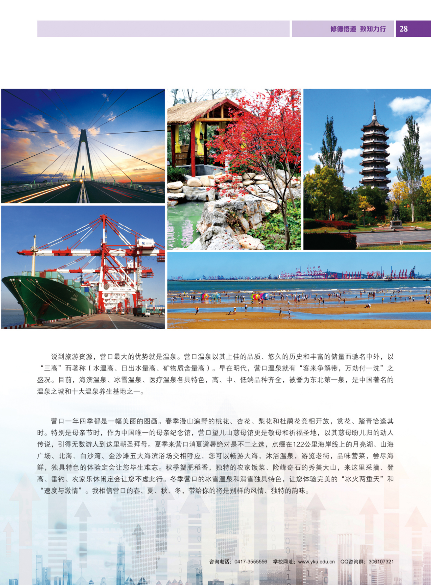 营口理工学院2024年招生简章