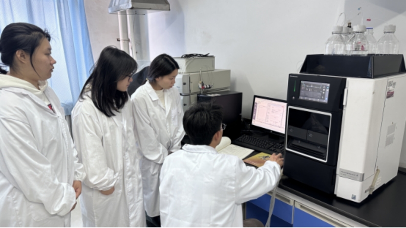 教师引导试验分析