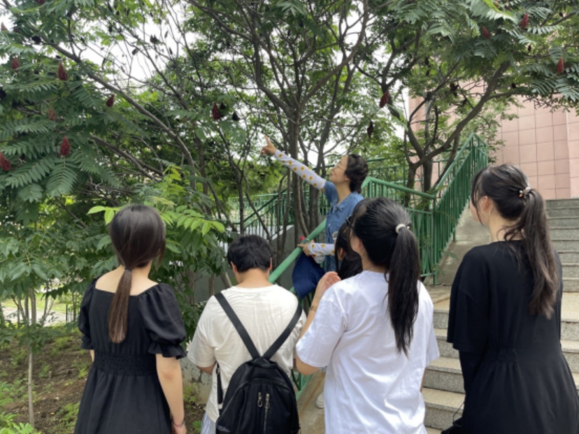 校园植物识别与统计