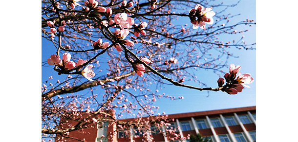 辽宁金融职业学院 - 最美大学