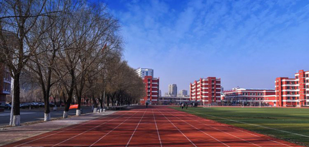 我的大學-大学志