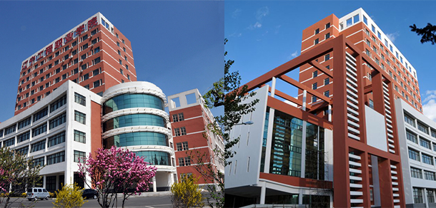 我的大學-大学志